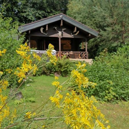 Blockhaus Am Twistesee Mit 3 Schlafzimmern Бад-Арользен Экстерьер фото