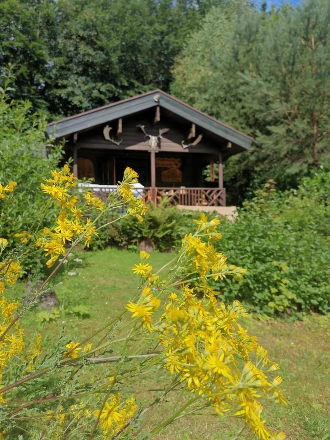 Blockhaus Am Twistesee Mit 3 Schlafzimmern Бад-Арользен Экстерьер фото