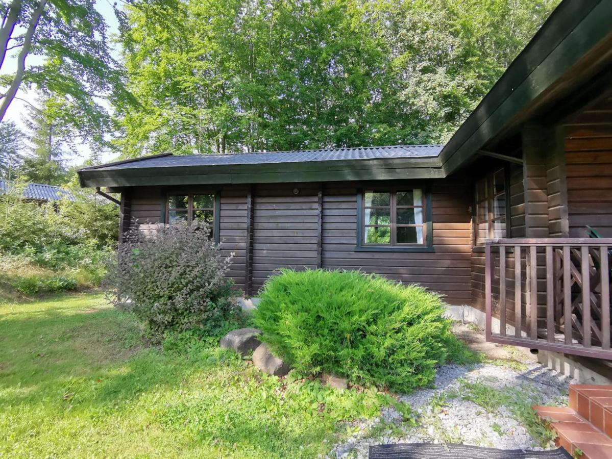 Blockhaus Am Twistesee Mit 3 Schlafzimmern Бад-Арользен Экстерьер фото